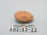 藏品(扁圓形陶紡輪)的圖片